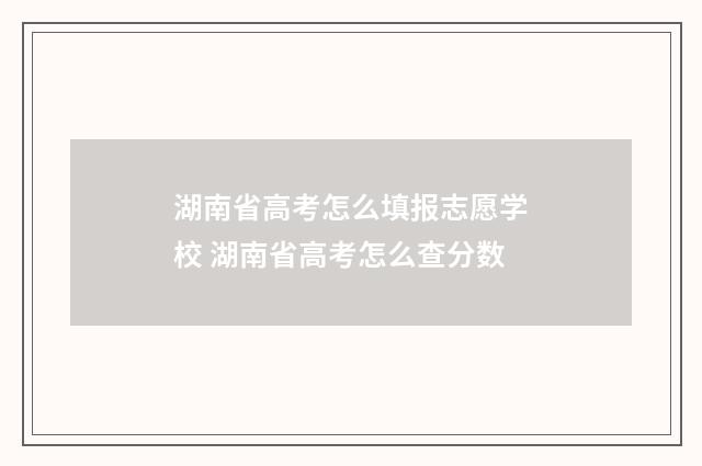 湖南省高考怎么填报志愿学校 湖南省高考怎么查分数