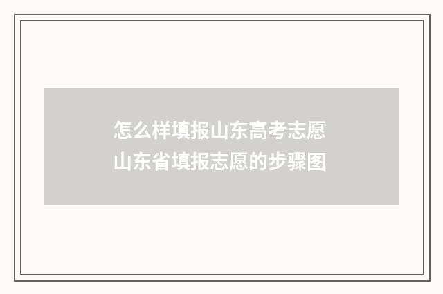 怎么样填报山东高考志愿 山东省填报志愿的步骤图