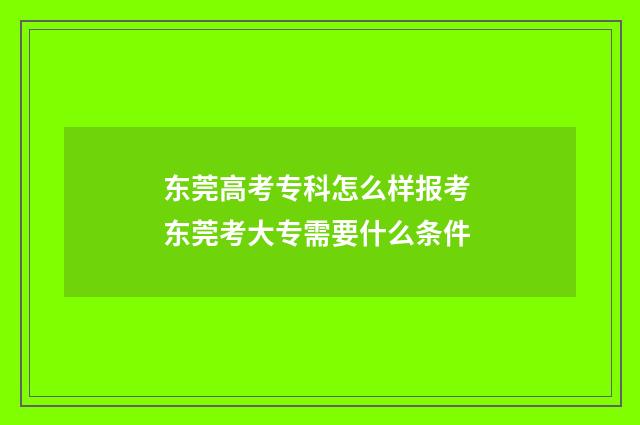 东莞高考专科怎么样报考 东莞考大专需要什么条件