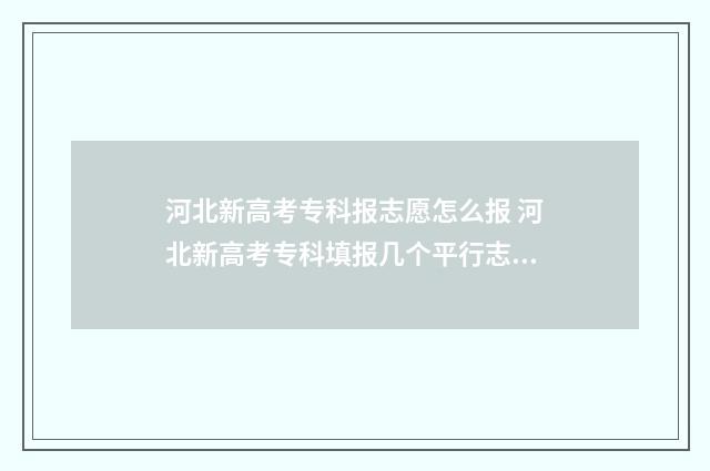 河北新高考专科报志愿怎么报 河北新高考专科填报几个平行志愿