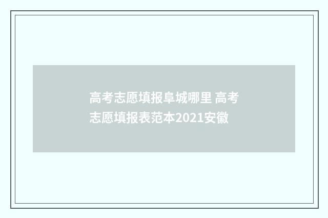 高考志愿填报阜城哪里 高考志愿填报表范本2021安徽