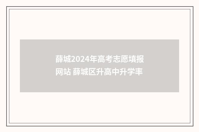 薛城2024年高考志愿填报网站 薛城区升高中升学率