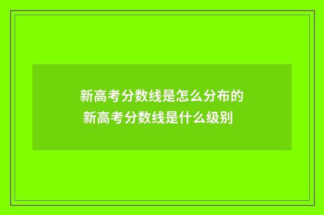 新高考分数线是怎么分布的 新高考分数线是什么级别