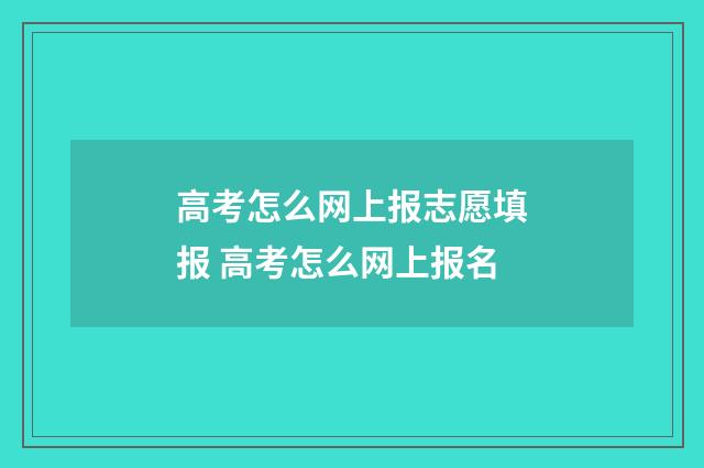 高考怎么网上报志愿填报 高考怎么网上报名