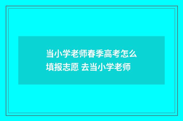 当小学老师春季高考怎么填报志愿 去当小学老师