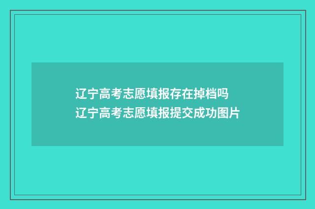 辽宁高考志愿填报存在掉档吗 辽宁高考志愿填报提交成功图片