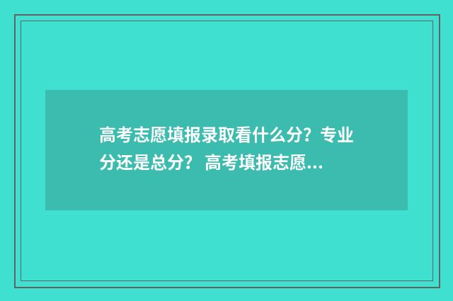 高考志愿填报录取看什么分？专业分还是总分？ 高考填报志愿怎么填