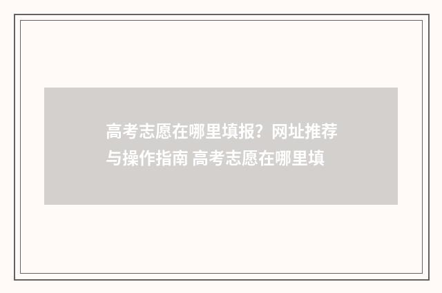 高考志愿在哪里填报？网址推荐与操作指南 高考志愿在哪里填