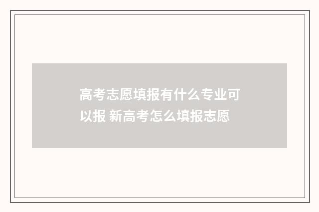 高考志愿填报有什么专业可以报 新高考怎么填报志愿