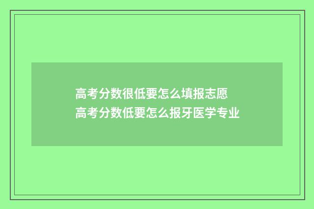高考分数很低要怎么填报志愿 高考分数低要怎么报牙医学专业