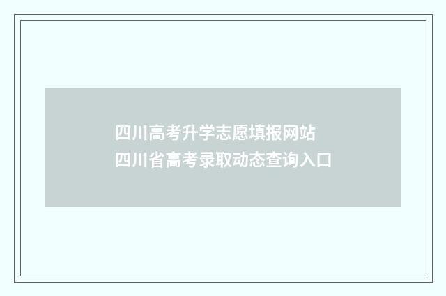 四川高考升学志愿填报网站 四川省高考录取动态查询入口