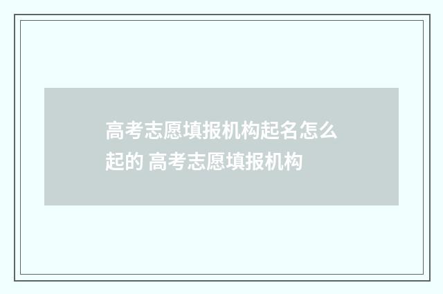 高考志愿填报机构起名怎么起的 高考志愿填报机构