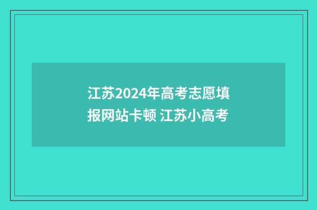 江苏2024年高考志愿填报网站卡顿 江苏小高考