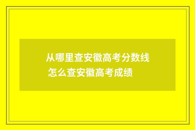 从哪里查安徽高考分数线 怎么查安徽高考成绩