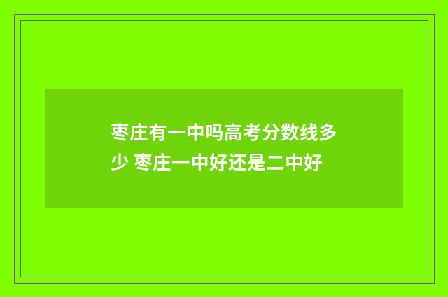 枣庄有一中吗高考分数线多少 枣庄一中好还是二中好