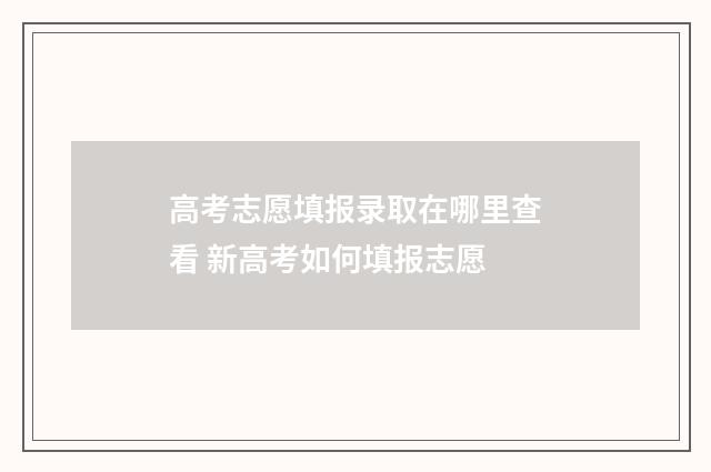 高考志愿填报录取在哪里查看 新高考如何填报志愿