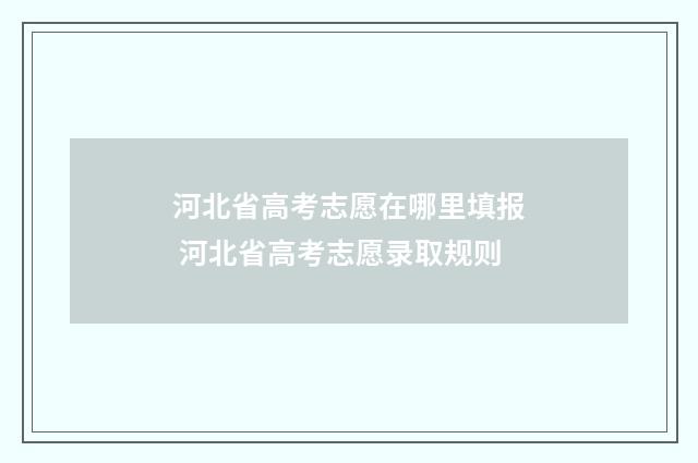 河北省高考志愿在哪里填报 河北省高考志愿录取规则