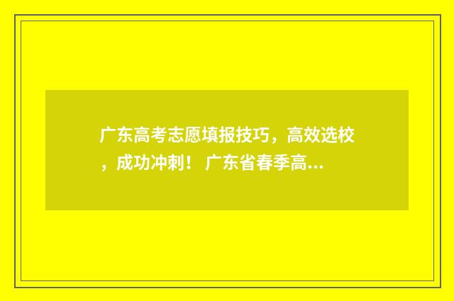 广东高考志愿填报技巧，高效选校，成功冲刺！ 广东省春季高考志愿填报系统