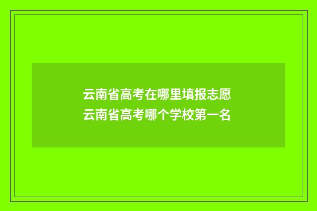 云南省高考在哪里填报志愿 云南省高考哪个学校第一名