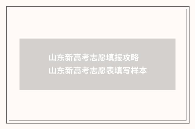 山东新高考志愿填报攻略 山东新高考志愿表填写样本