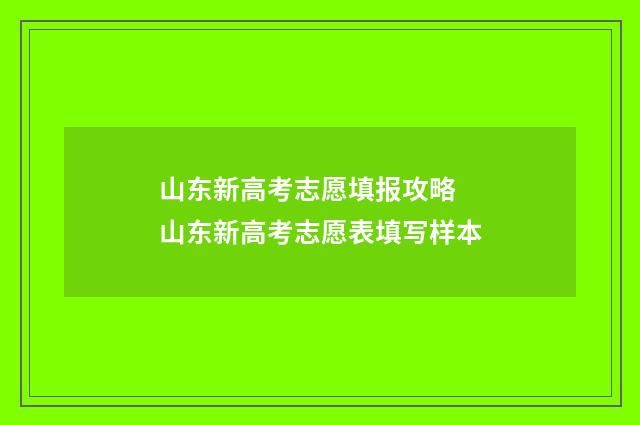 山东新高考志愿填报攻略 山东新高考志愿表填写样本