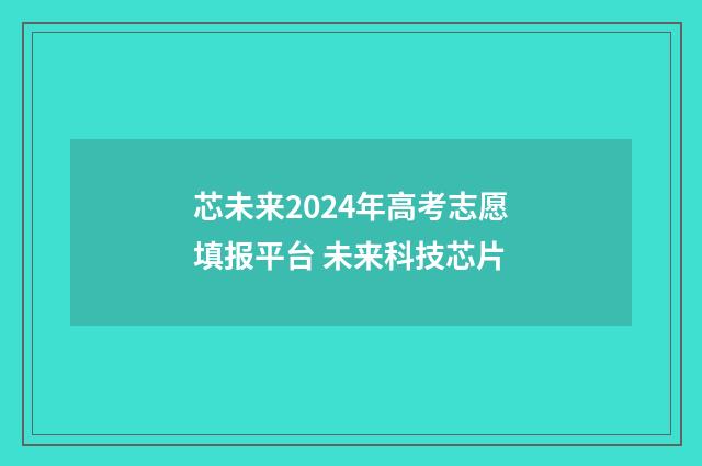 芯未来2024年高考志愿填报平台 未来科技芯片