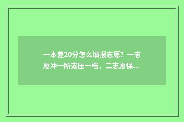 一本差20分怎么填报志愿？一志愿冲一所或压一档，二志愿保一所或冲一档？ 一本差几分可以报一本学校吗