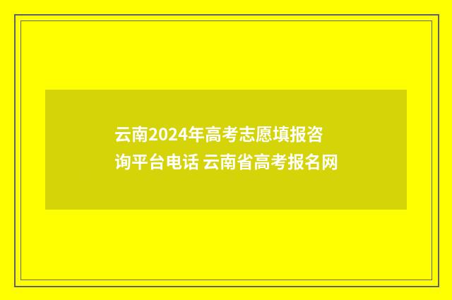 云南2024年高考志愿填报咨询平台电话 云南省高考报名网