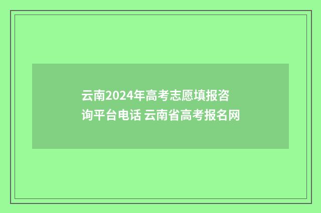 云南2024年高考志愿填报咨询平台电话 云南省高考报名网