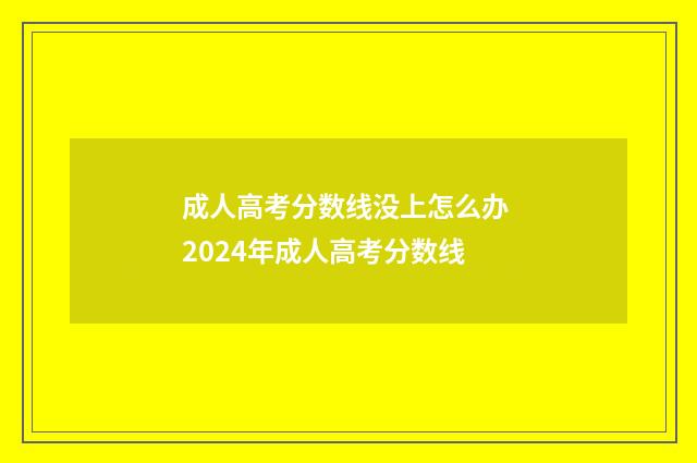 成人高考分数线没上怎么办 2024年成人高考分数线