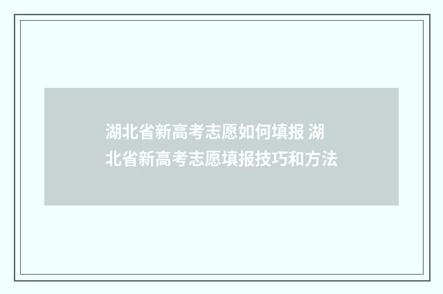 湖北省新高考志愿如何填报 湖北省新高考志愿填报技巧和方法