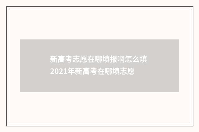 新高考志愿在哪填报啊怎么填 2021年新高考在哪填志愿