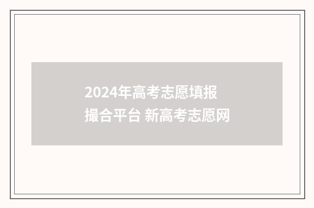 2024年高考志愿填报撮合平台 新高考志愿网