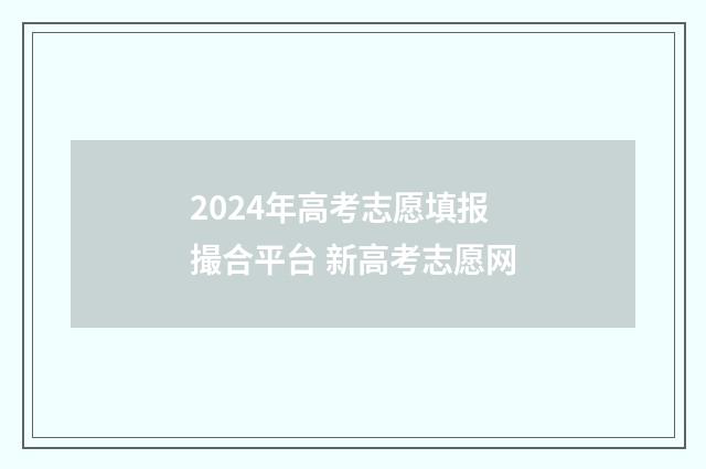 2024年高考志愿填报撮合平台 新高考志愿网