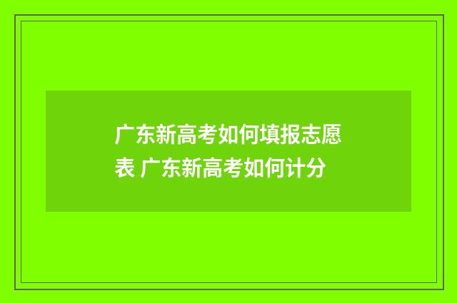 广东新高考如何填报志愿表 广东新高考如何计分