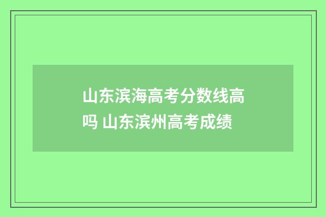 山东滨海高考分数线高吗 山东滨州高考成绩