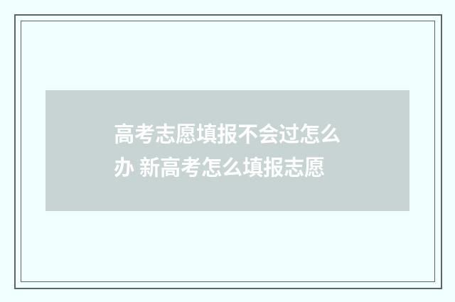 高考志愿填报不会过怎么办 新高考怎么填报志愿