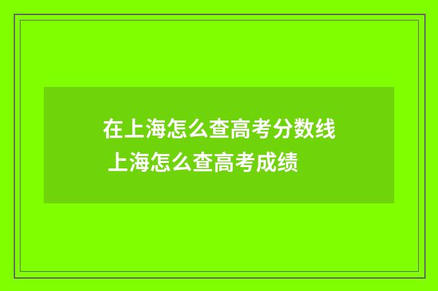 在上海怎么查高考分数线 上海怎么查高考成绩