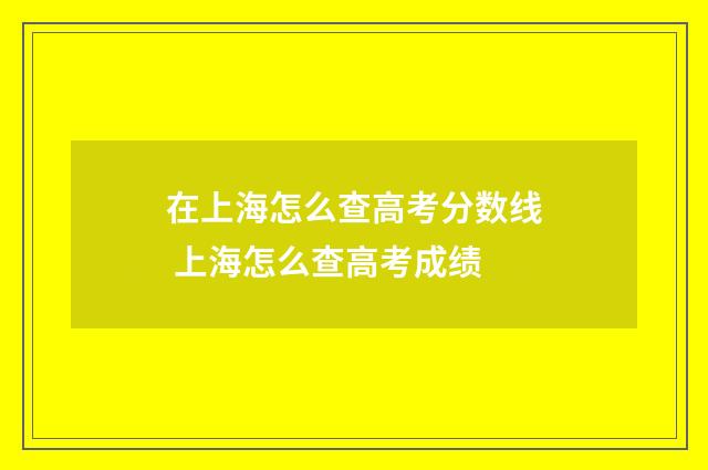 在上海怎么查高考分数线 上海怎么查高考成绩
