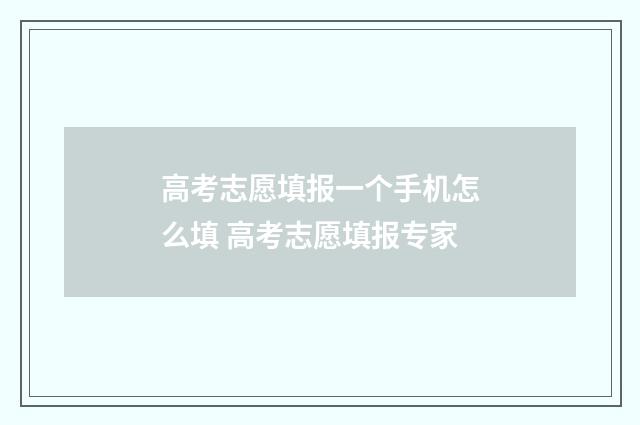 高考志愿填报一个手机怎么填 高考志愿填报专家