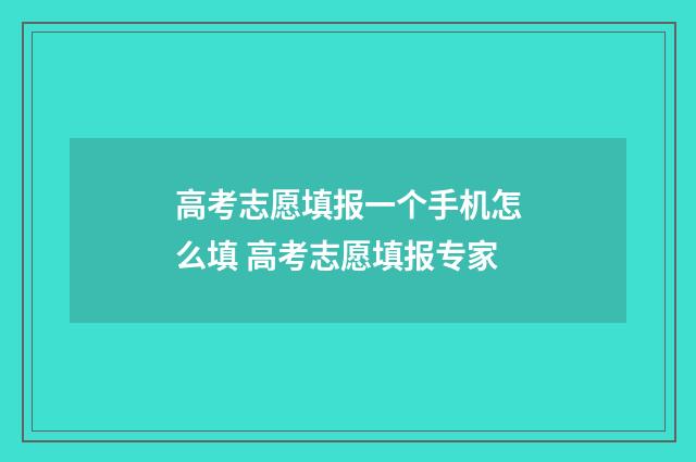 高考志愿填报一个手机怎么填 高考志愿填报专家