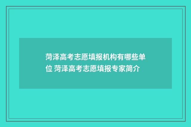 菏泽高考志愿填报机构有哪些单位 菏泽高考志愿填报专家简介