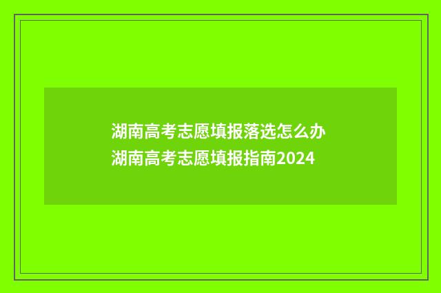 湖南高考志愿填报落选怎么办 湖南高考志愿填报指南2024