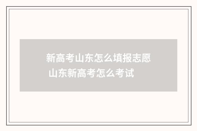 新高考山东怎么填报志愿 山东新高考怎么考试