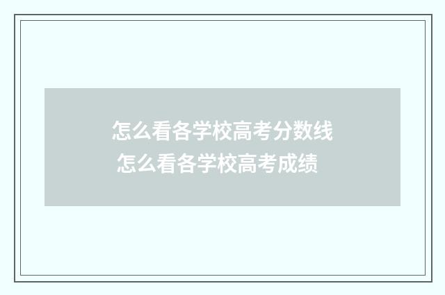 怎么看各学校高考分数线 怎么看各学校高考成绩
