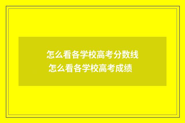 怎么看各学校高考分数线 怎么看各学校高考成绩