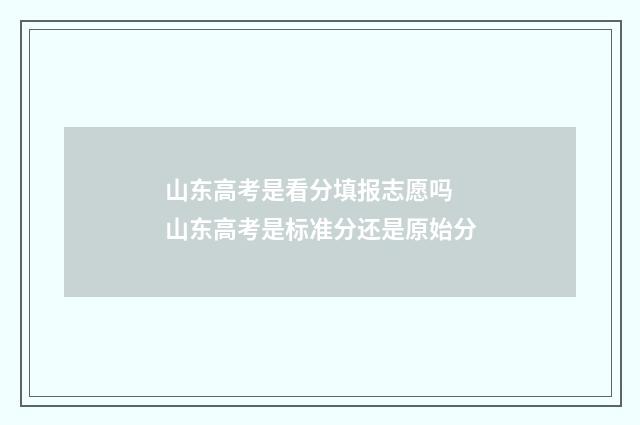 山东高考是看分填报志愿吗 山东高考是标准分还是原始分