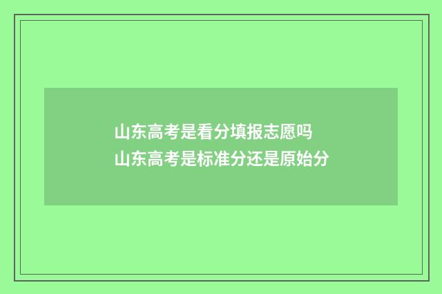 山东高考是看分填报志愿吗 山东高考是标准分还是原始分