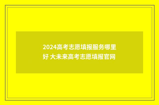 2024高考志愿填报服务哪里好 大未来高考志愿填报官网