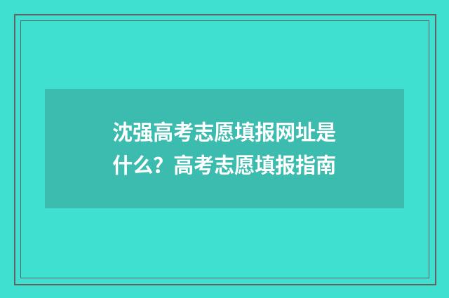沈强高考志愿填报网址是什么？高考志愿填报指南